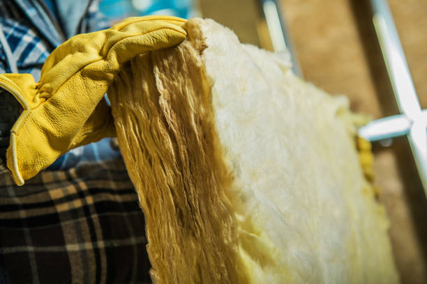Types of Insulation We Offer in Sonoma State University, CA