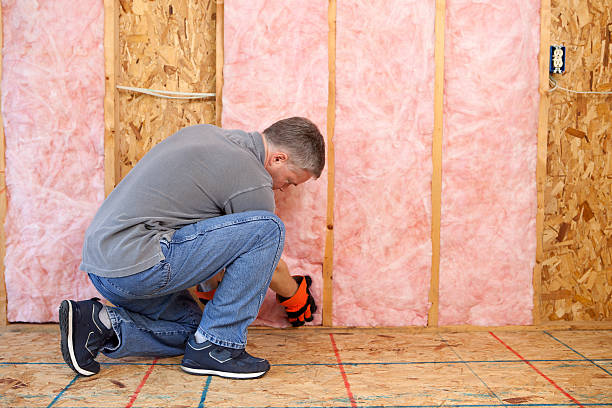 Best Specialized Insulation Services in Sonoma State University, CA