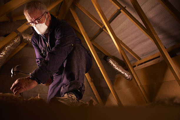 Best Eco-Friendly Insulation in Sonoma State University, CA